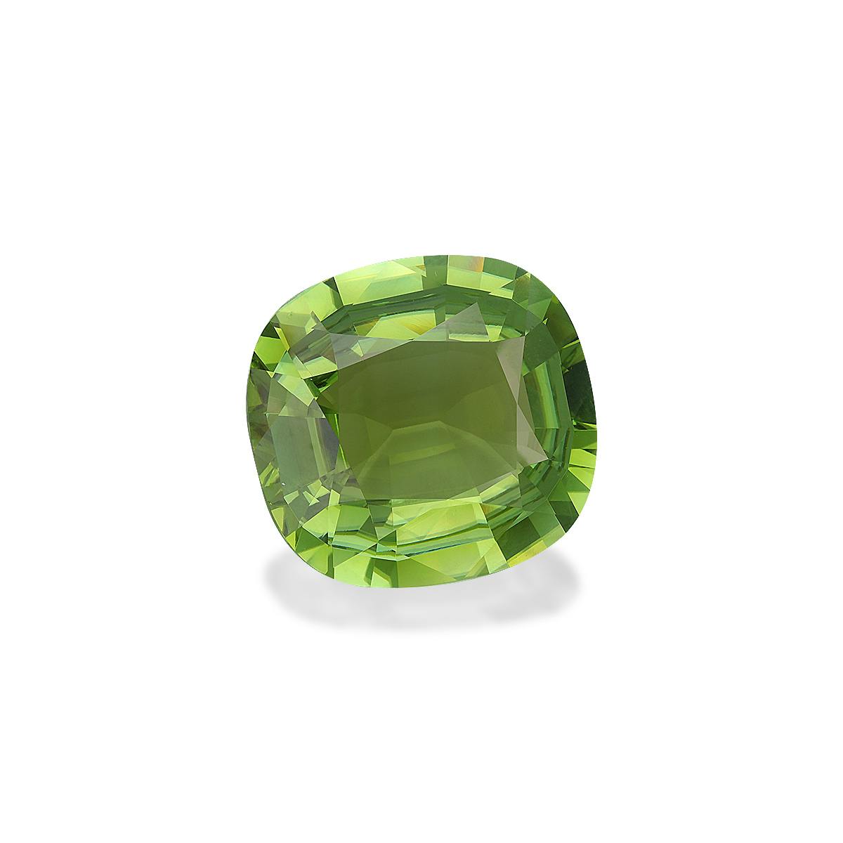 Cuprian Tourmaline 59.78 ct